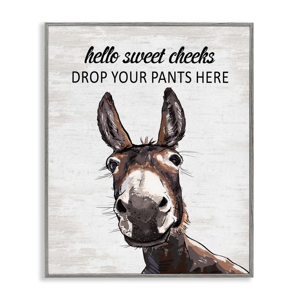 Stupell Sweet Cheeks Laundry Donkey Framed Giclee Art Design By Lettered and Lined