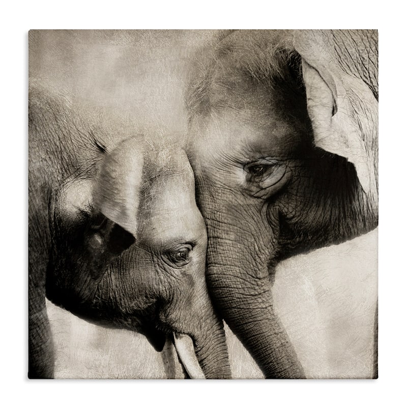 Stupell Elephant & Baby Hug Canvas Wall Art Design By CAD Designs - 36 x 36