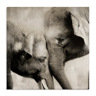 Stupell Elephant & Baby Hug Canvas Wall Art Design By CAD Designs