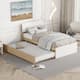 Option Oak