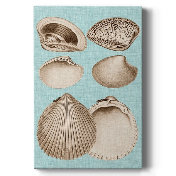 slide 2 of 8, Sepia & Aqua Shells IX Premium Gallery Wrapped Canvas - Ready to Hang 12X18