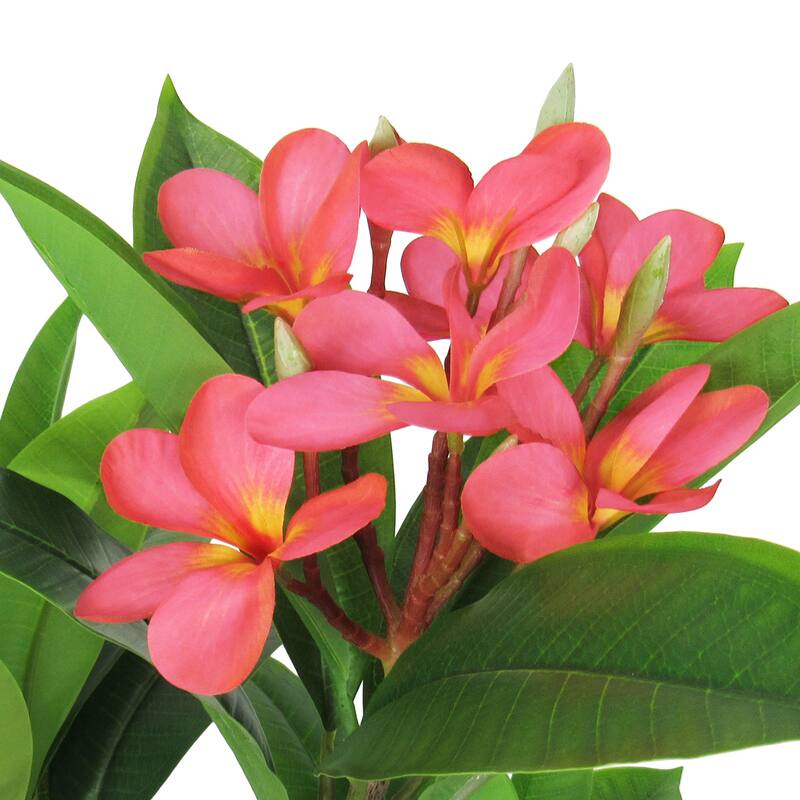 2.25ft Fuchsia Artificial Plumeria Flower Tree Tropical Plant in Black Pot - 27" H x 20" W x 17" DP