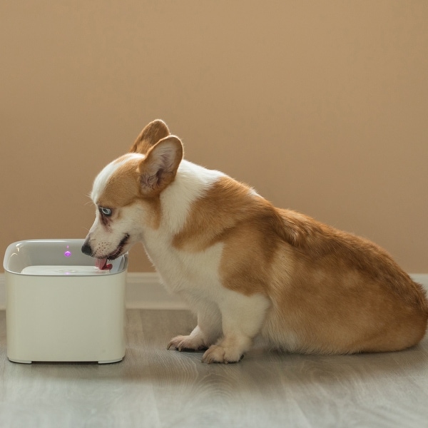 Bed bath and online beyond pet water fountain
