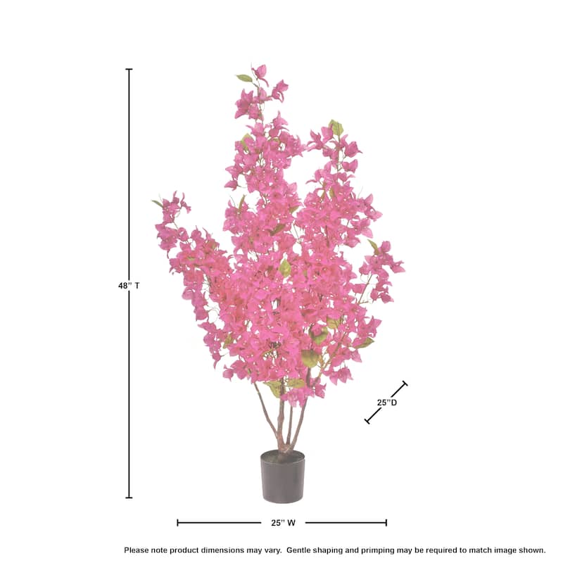 Bougainvillea Tree 4.5'