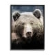 Stupell Grizzly Bear Face Portrait Framed Giclee Art Design by Kim ...