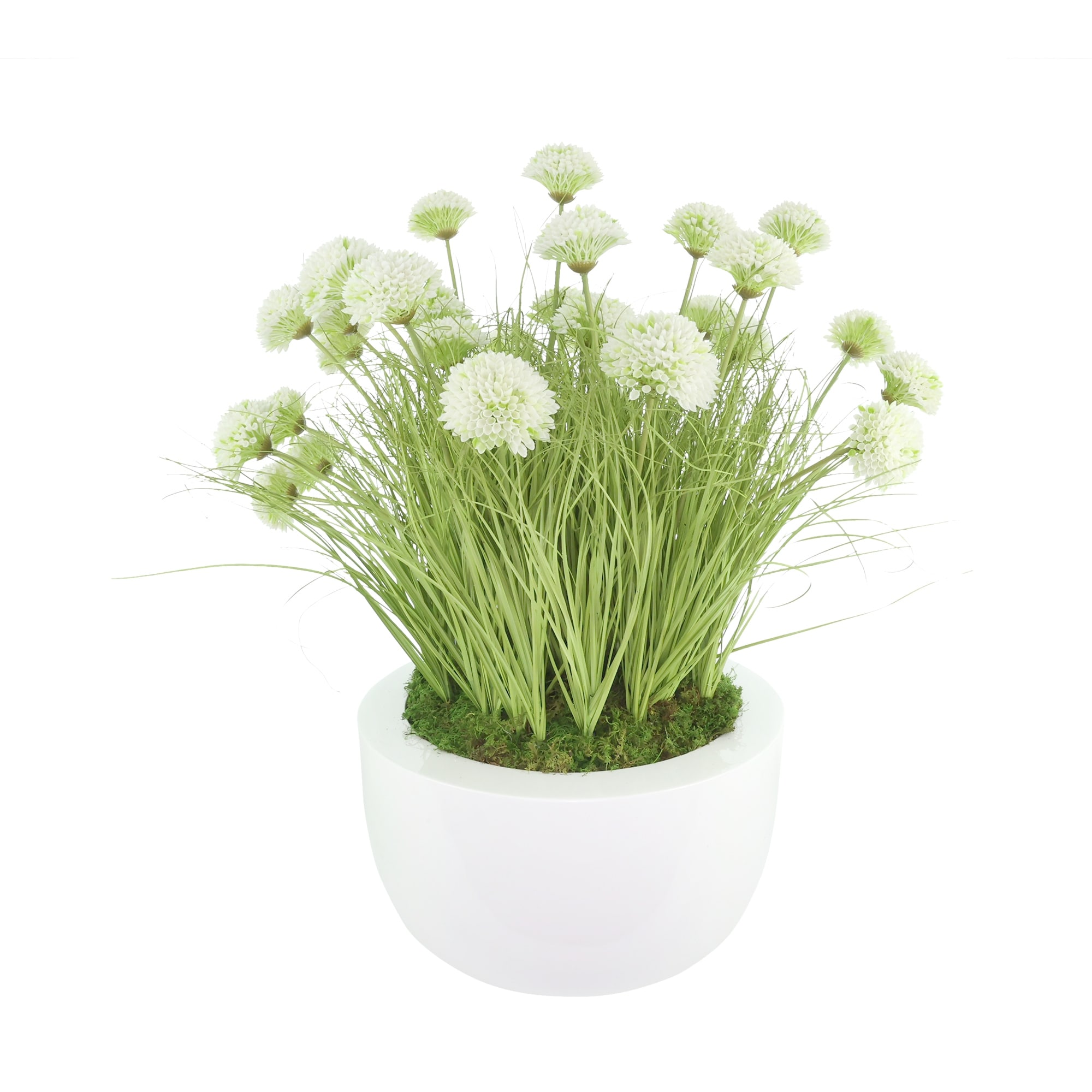 Dahlias in Round Fiberstone Planter - 31