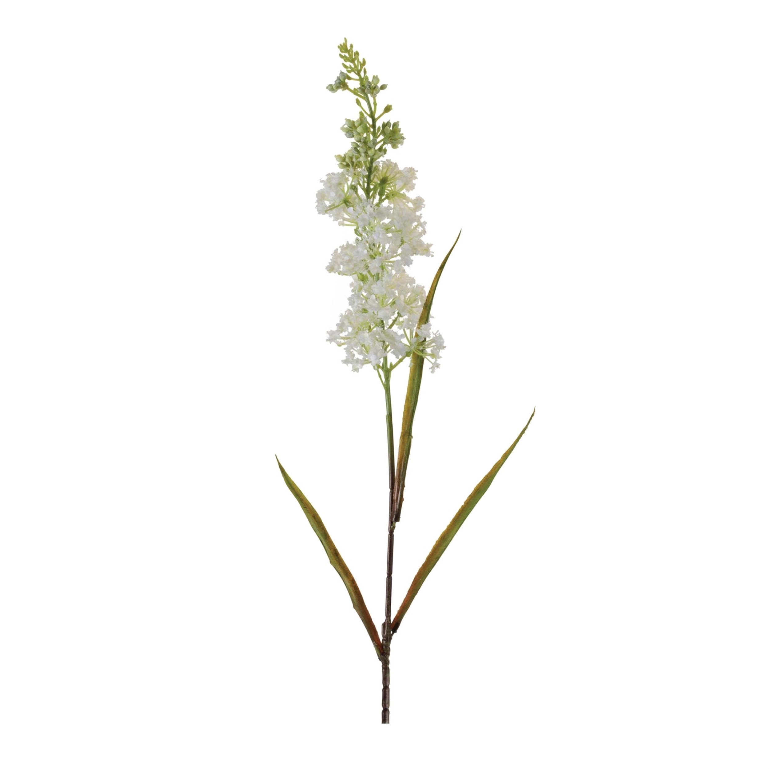 Astilbe Floral Stem (Set of 4)