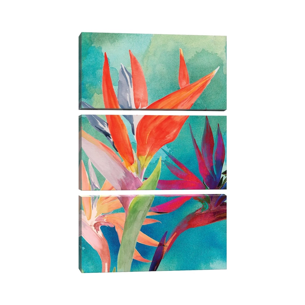 iCanvas "Vivid Birds of Paradise I" by Jennifer Paxton Parker 3-Piece Canvas Wall Art Set