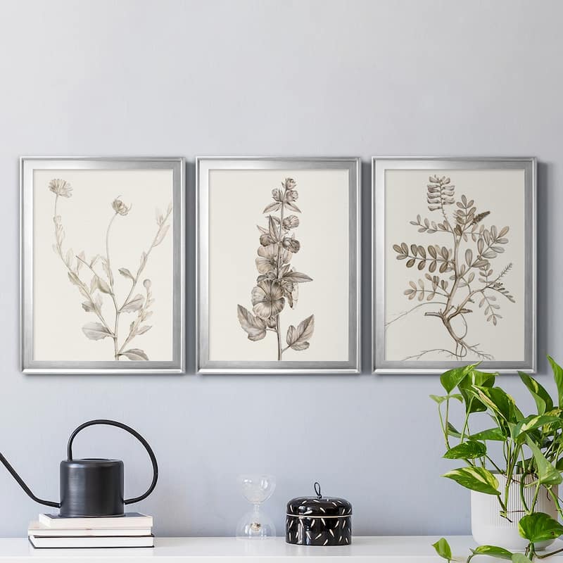 Neutral Botanical Study IV Premium Framed Canvas - Ready to Hang - Multi-Color