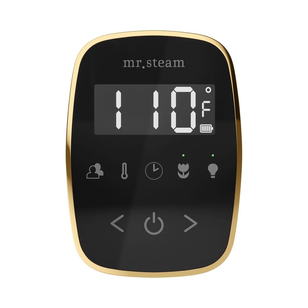 Mr Steam TF Tempoflex Steam Shower Control and Steamhead