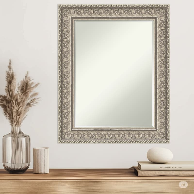 Sydney Half-Inch-Bevel Framed Wall Mirror - Sydney Silver - 25 x 31 in