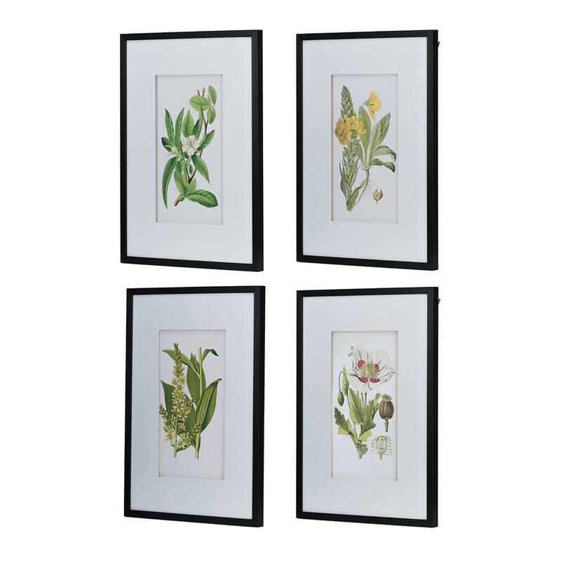 Set of 4 Botanical Flower Wall Art