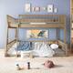 Option Walnut