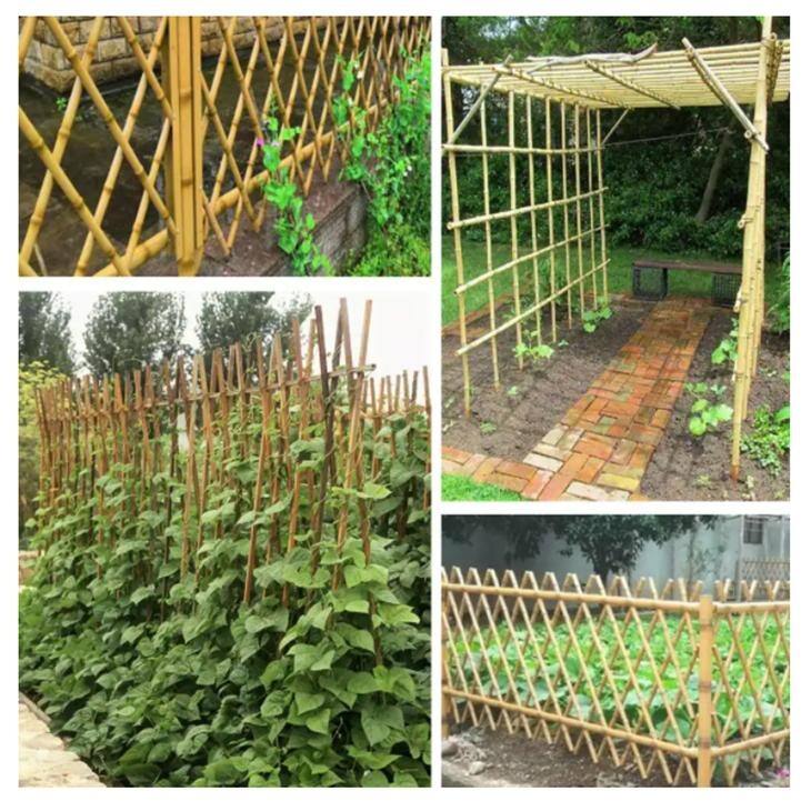 DCP Garden Bamboo Stakes,20-pack - 5ft