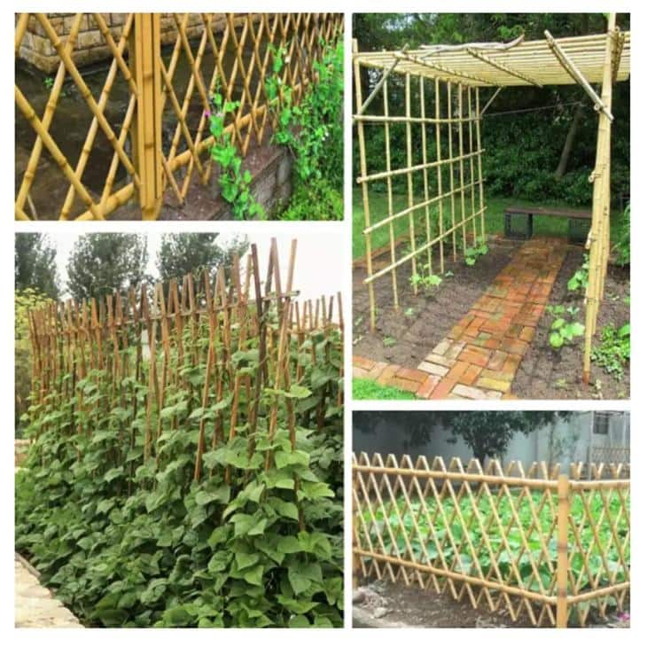 Garden Bamboo Stakes,10-pack