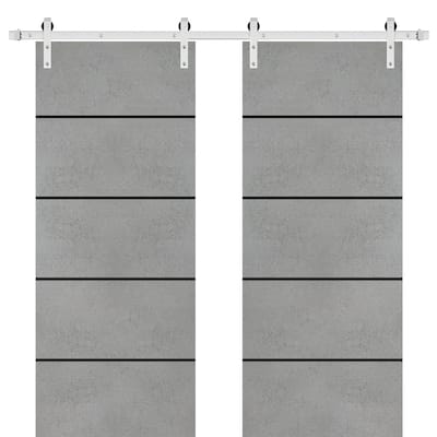 Sturdy Double Barn Door 36 x 80 with Planum 0015 Concrete with 13FT