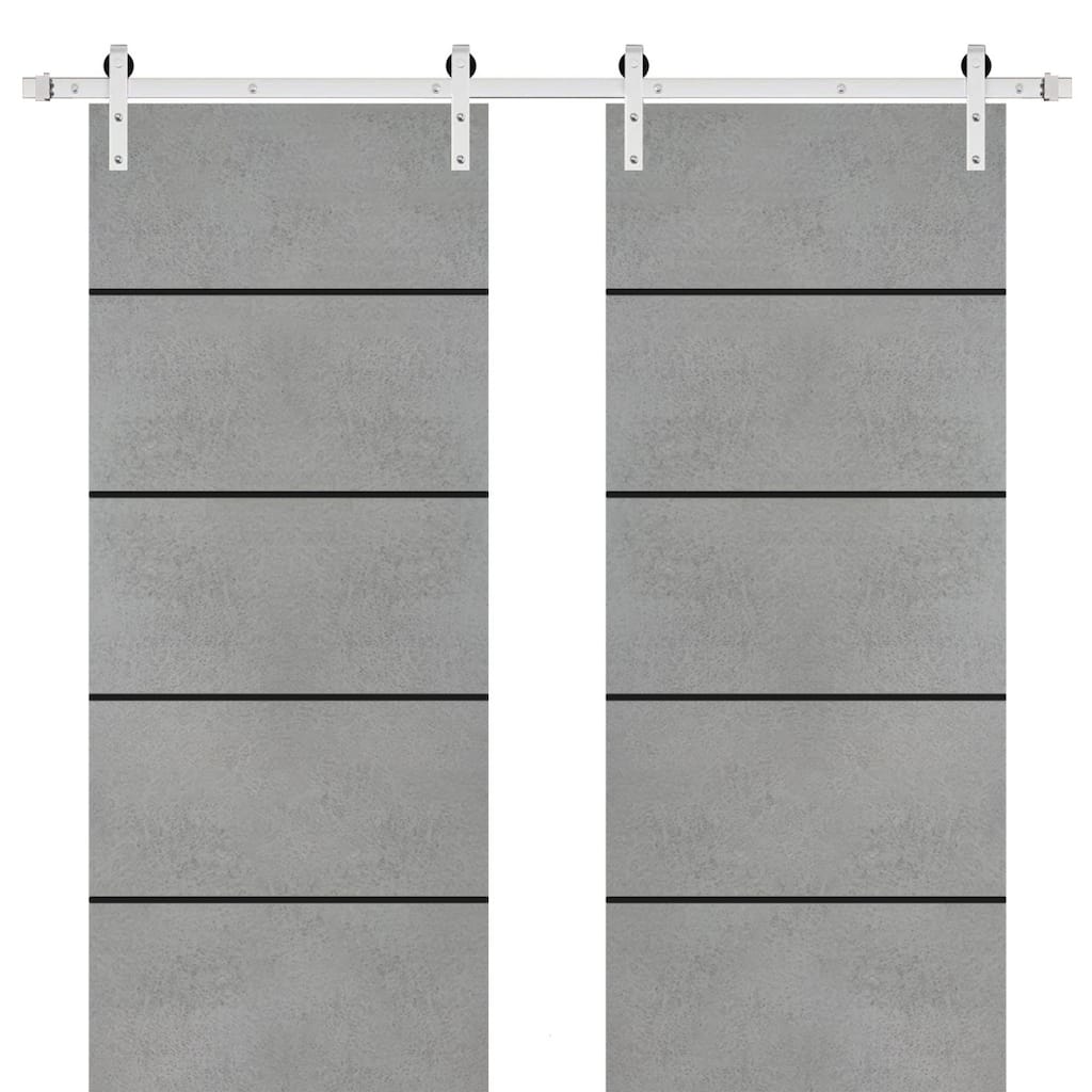 Sturdy Double Barn Door 36 x 80 with Planum 0015 Concrete with 13FT