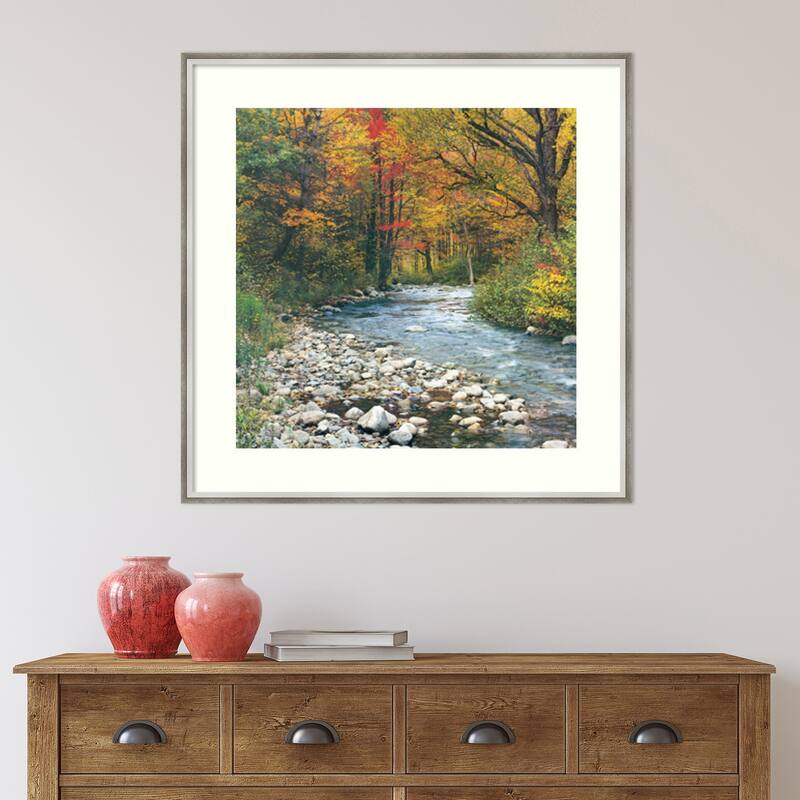Forest Creek I Framed Art Print