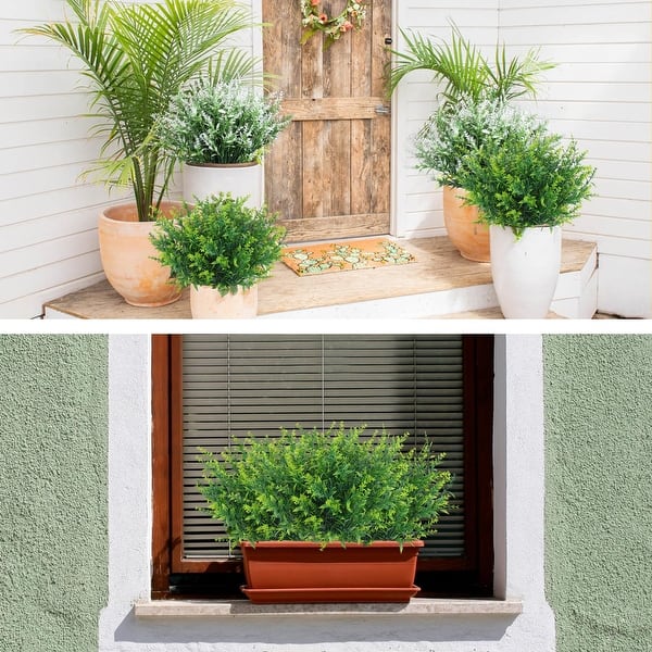 palm tree pot plant Cat Palm | Palm Trees for Sale main image 0