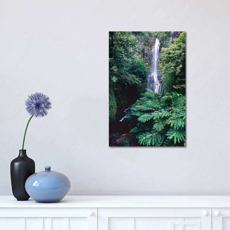 iCanvas "Wailua Falls on the Road To Hana, Maui, Hawaii" by George Oze Canvas Print - 18x12x1.5