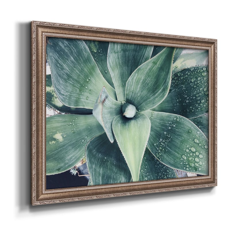 Green Tropical Succulent VIII Premium Framed Canvas- Ready to Hang