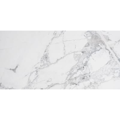 Penthouse 12x24 Polished Porcelain Tile - Floor, Wall - Large Format
