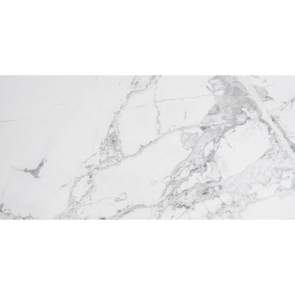 Penthouse 12x24 Polished Porcelain Tile - Floor, Wall - Large Format
