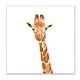 Stupell Simple Smiling Giraffe Head Animal Portrait Wood Wall Art ...