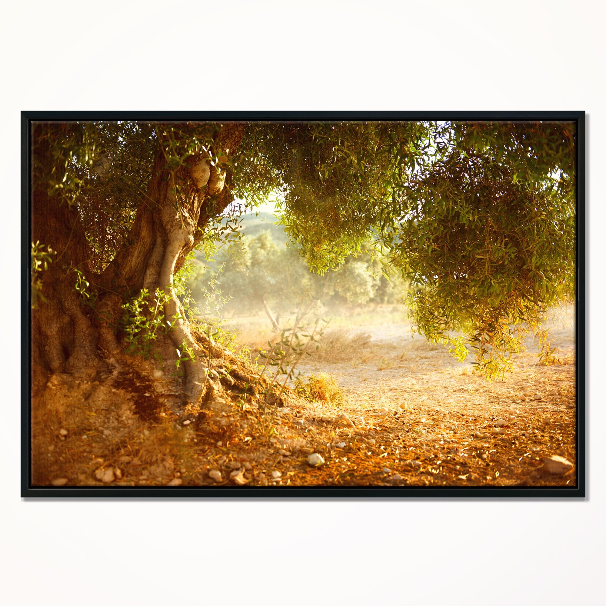 Shop Designart Beautiful Old Olive Tree Large Landscape Framed