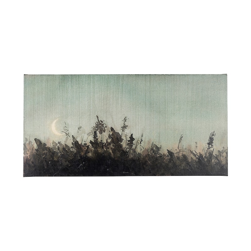 Moon Sets, Sun Rises I (40 x 20) Canvas Art Print - Large