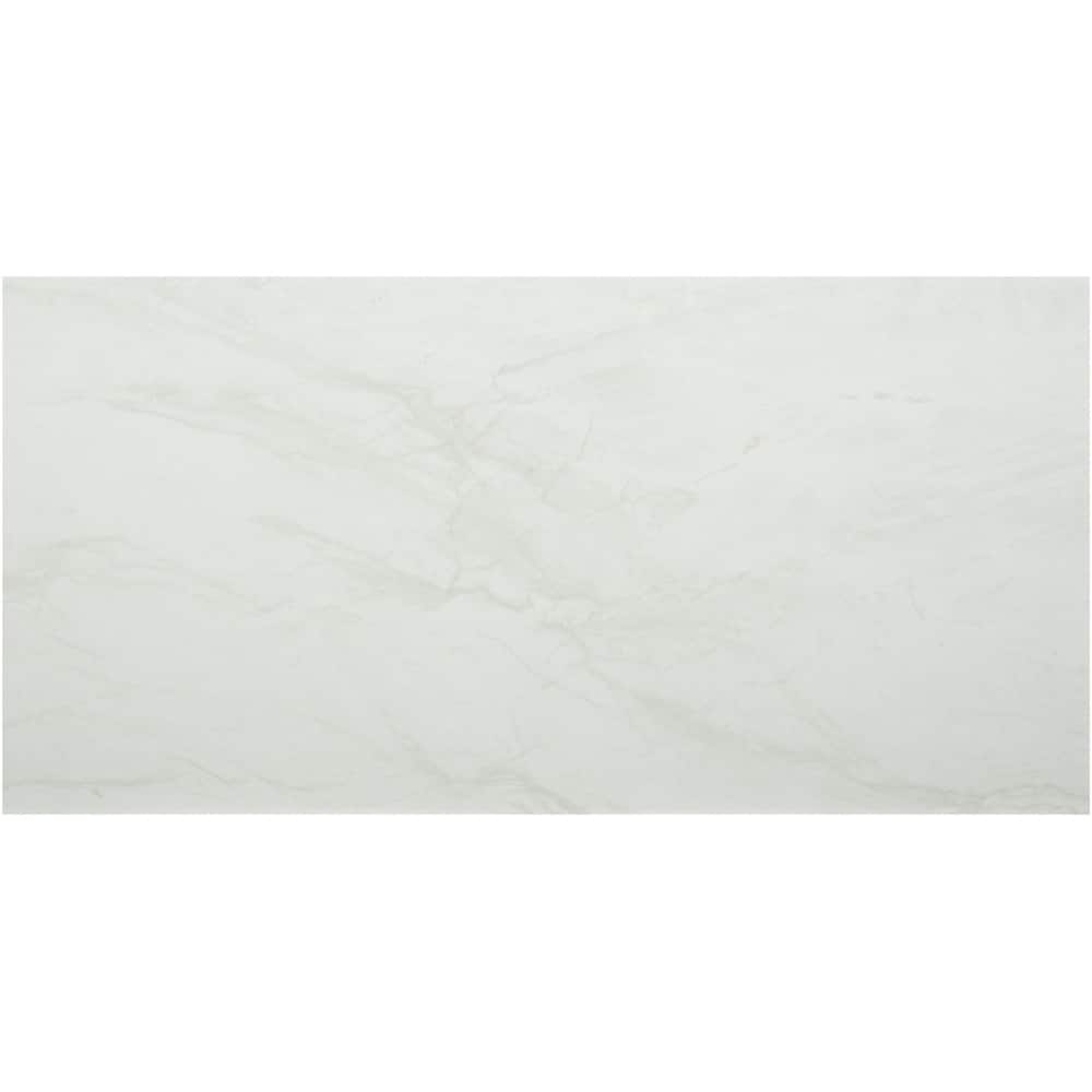 Ackland AKNPTMAR12X24M-PL Marnix - 12" x 24" Porcelain Solid Floor and