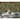 Tree Tapestry Green Non-Pasted Wallpaper – 396in. x 21in. – Covers 56 square feet