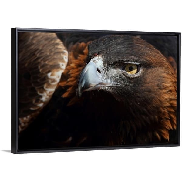 Shop Golden Eagle Multi Color Free Shipping Today