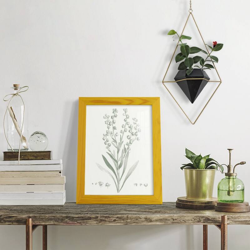 Botanical Study in Sage I -Framed Print w/glass-Cherry Red