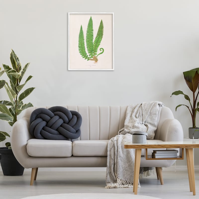 Stupell Natural Fern Branch Trio Framed Giclee Art Design By Phillipa Katz