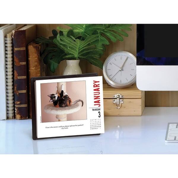 Shop 2019 Bad Kitties 2019 Desk Calendar Funny Cats By Willow Creek Press Overstock 24337857