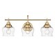 preview thumbnail 1 of 6, Wry Lighting Daphne 3-light Vanity in Brushed Champagne Brass Brushed Champagne Bronze with Clear Glass