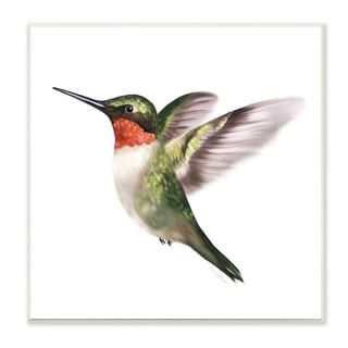 Stupell Flying Hummingbird Wings Hovering Casual Painting Wood Wall Art ...