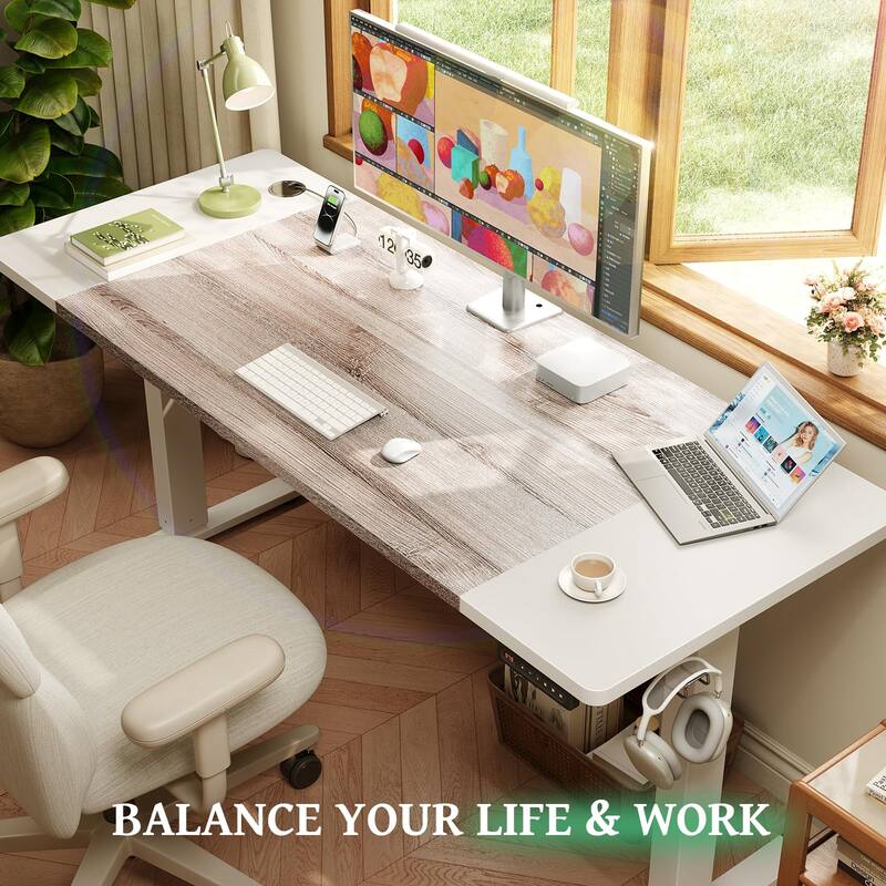 SIAGO 48 x 24 Inch Computer Desk Height Adjustable Electric Sit Stand Up Desk