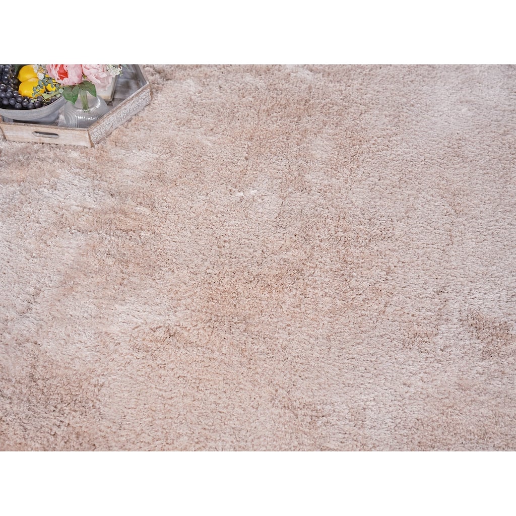 Exquisite Rugs Sumo Shag Handmade Handloomed Polyester/Microfiber Pink Area Rug