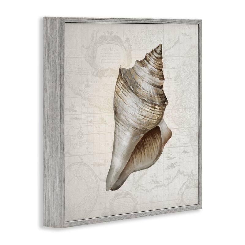 Stupell Conch Shell over Vintage Map Framed Giclee Art Design By Conrad Knutsen