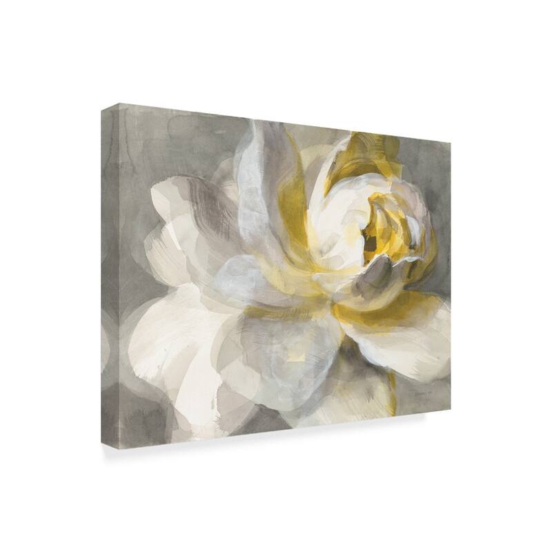 Danhui Nai 'Abstract Rose' Canvas Art