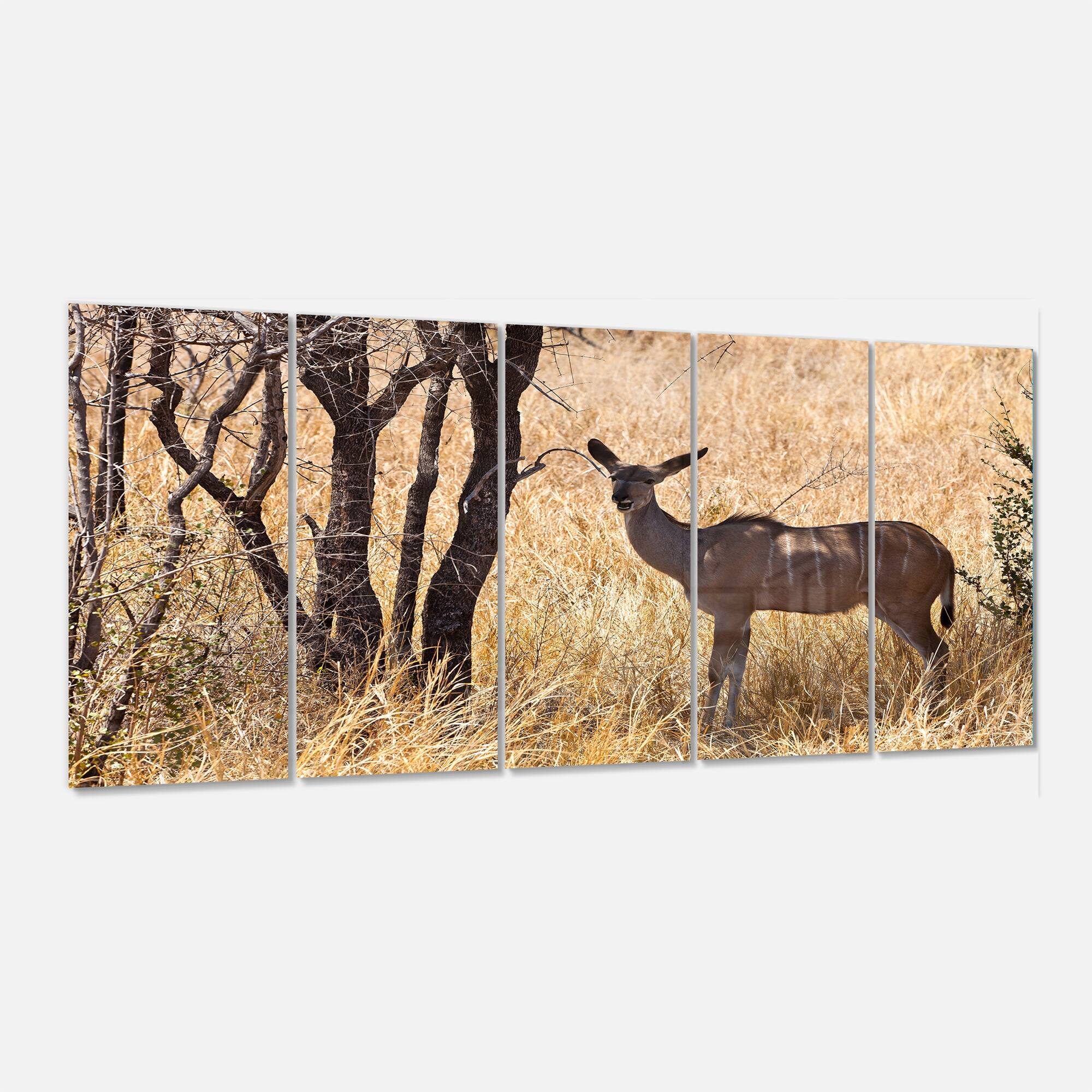 Designart 'Grants Gazelle Standing in Long Grass' Modern Animal Metal