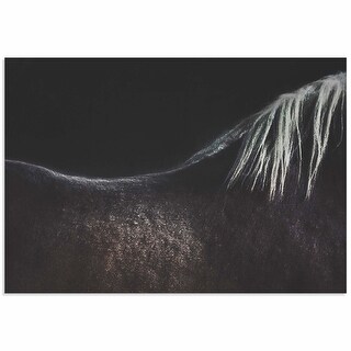 Naked Horse By Piet Flour Horse Wall Art On Metal - Large - Bed Bath