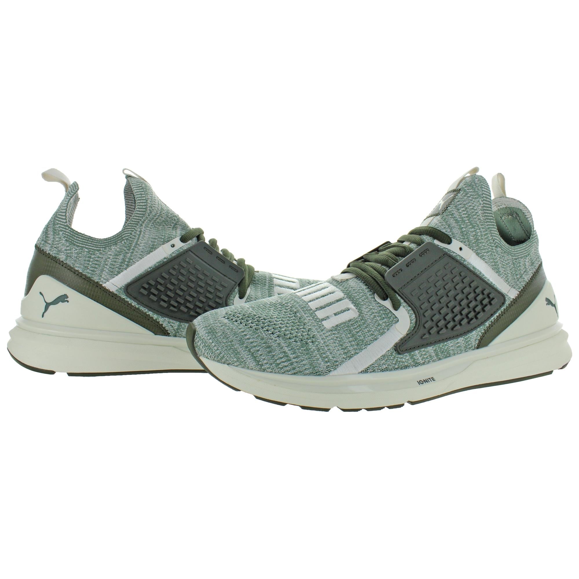 puma ignite evertrack Transportation and Logistics Company News