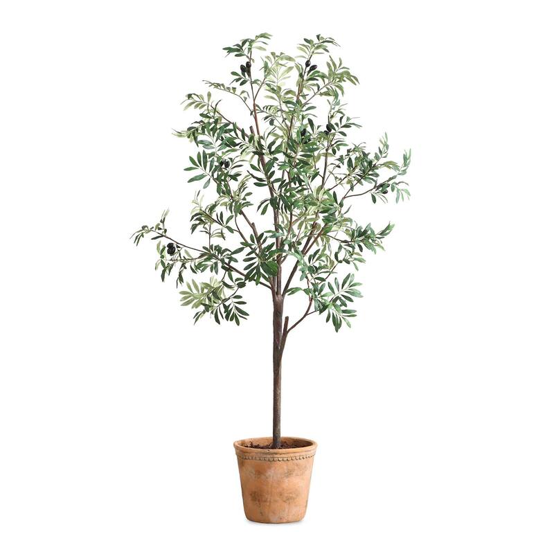 Uttermost 60241 Olea 67" Tall Olive Tree Artificial Plant in a - Olive / Terracotta - Olive / Terracotta