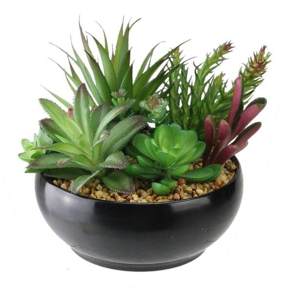Shop 6 Decorative Artificial Succulent Plant Arrangement In A