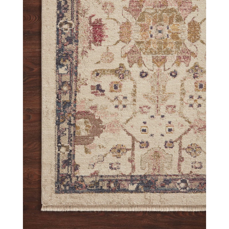 Alexander Home Jewel Shabby-Chic Oriental Area Rug