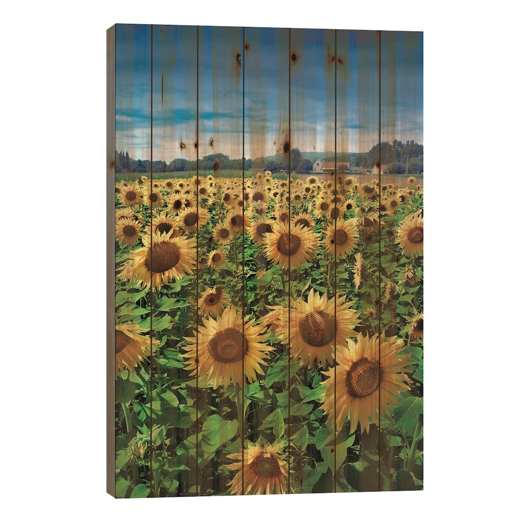 Turn Your Face To The Sun Print On Wood by Ben Heine - Multi-Color