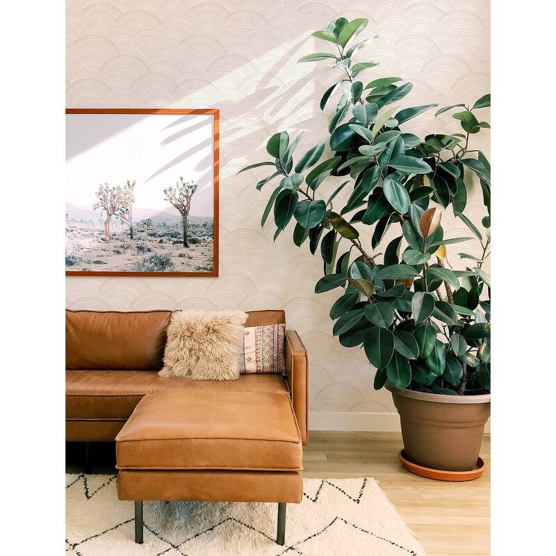 A-Street Prints Encircle Dove Geometric Wallpaper